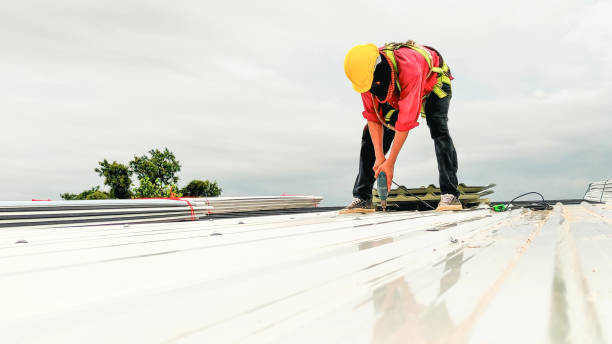 Best Rubber Roofing (EPDM, TPO)  in Hugo, MN