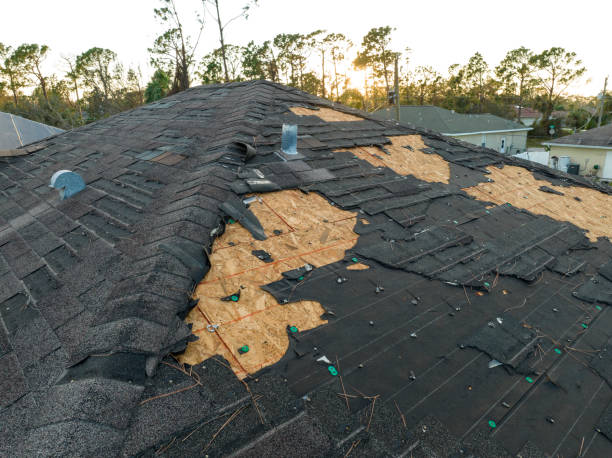 Best Roofing for New Construction  in Hugo, MN