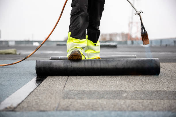 Best Gutter Installation and Repair  in Hugo, MN