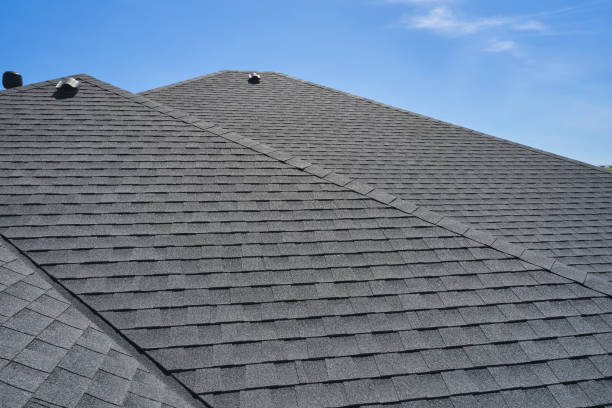 Best Metal Roofing Installation  in Hugo, MN
