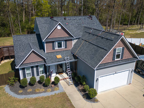 Best Roof Moss and Algae Removal  in Hugo, MN